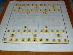 Wa Shogi: player's eye view